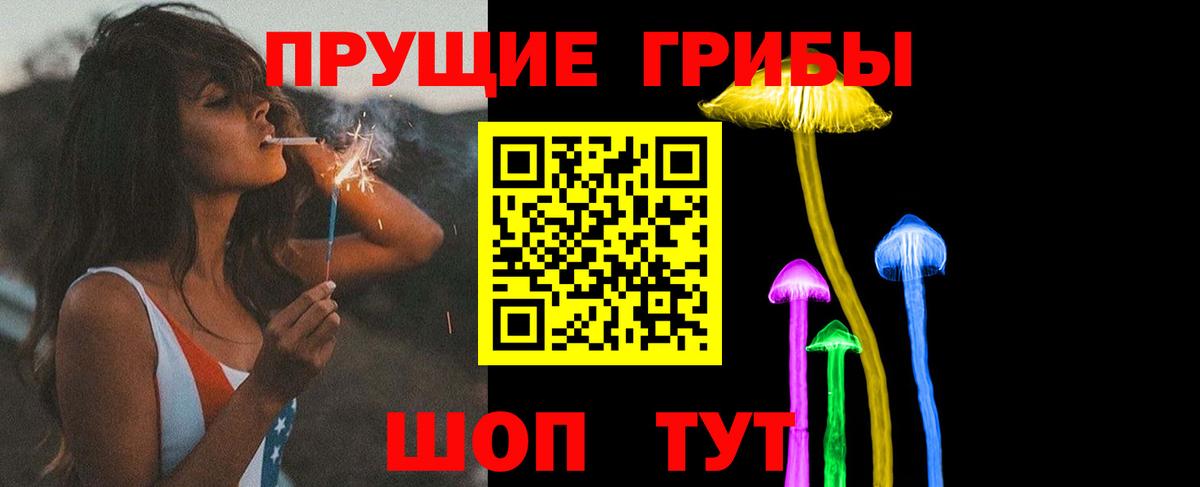 Псилоцибиновые грибы GOLDEN TEACHER Янаул